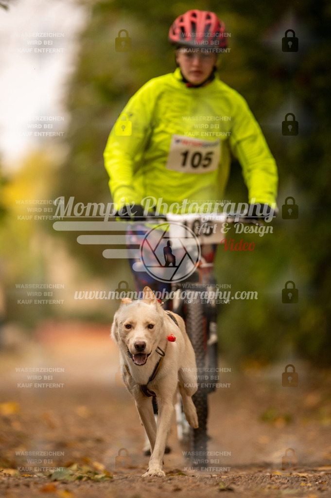 CDLBDB_14_10_2023_Samedi-155 | PayLife