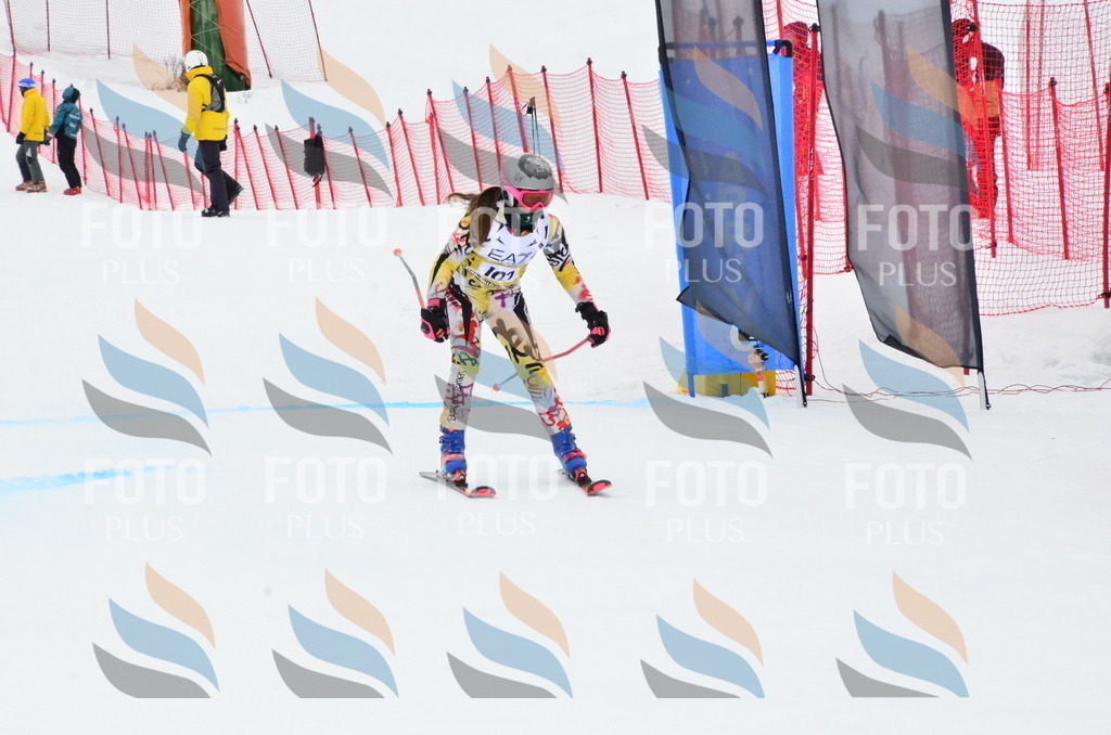 _ELE3544 | holidayphoto