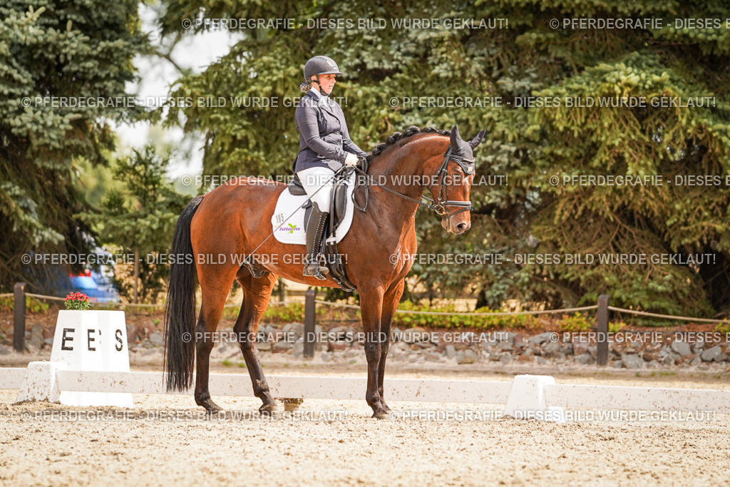 DSC01726 | Pferdegrafie