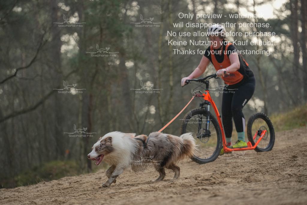 Scooter1-227 | stephaniefillaphotographie - Realisiert mit Pictrs.com