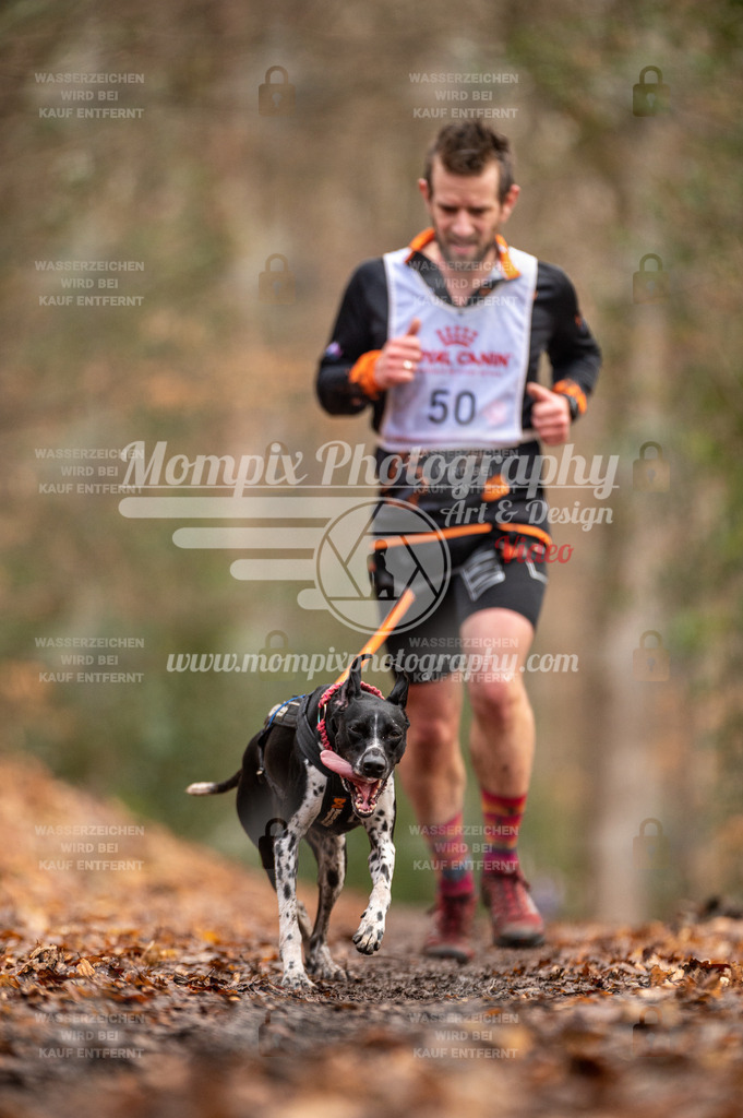 SPA_2023_DIM_CCL-111 | PayLife