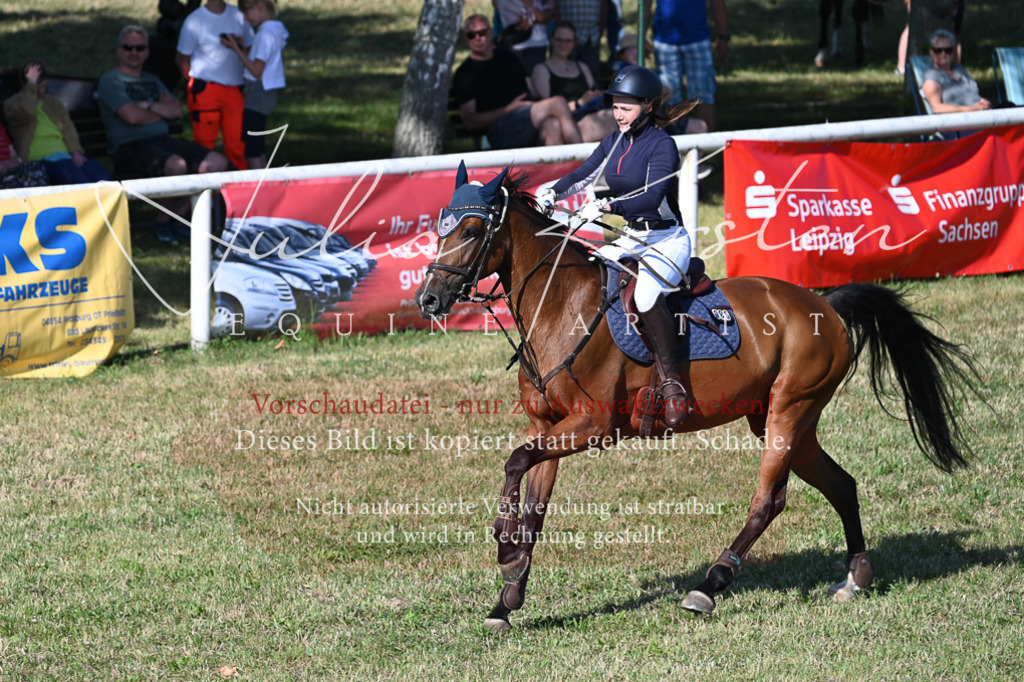 DSC_2450 | Pferde- und Turnierfotografie in Westsachsen. Pferdeportraits, Auftragszeichnungen und intuitive Kunst.