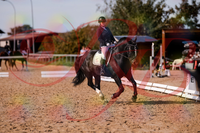 2026_10_03_Siefer-Hof_131850_Z81_66948835 | Professionelle Reitsport-, Turnier- und Eventfotografie von Robert Broda. Galerien mit ausgewählten und bearbeiteten Bildern direkt online ansehen und bestellen.