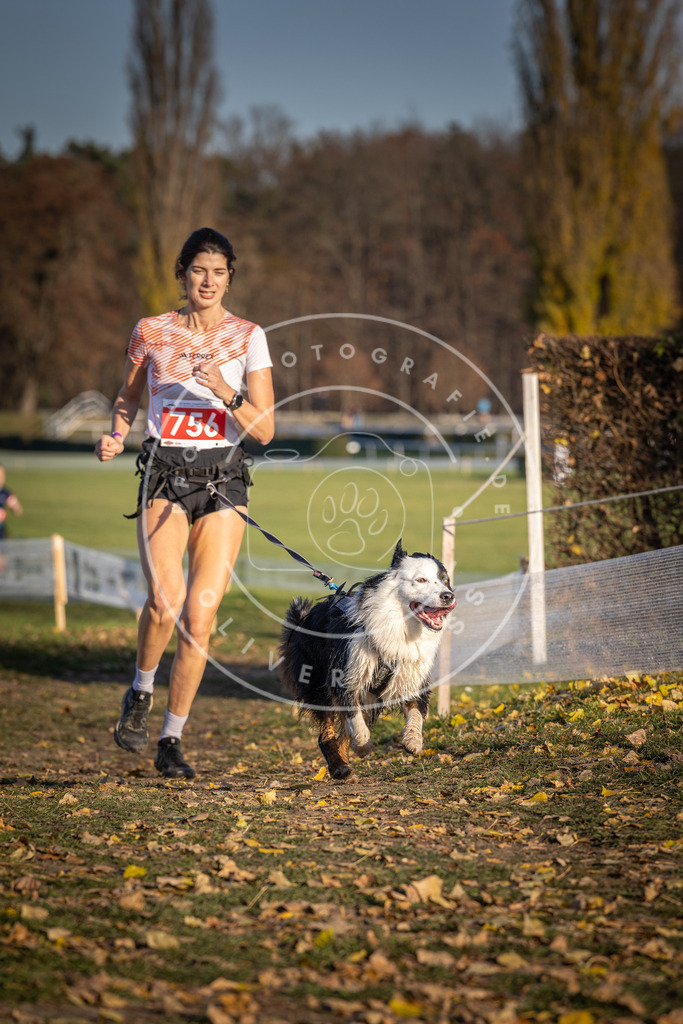 CaniXpix_DV3A2558 | Hundefotografie, Tierfotograf, Pfotenfotografie, Fotoshooting Hund, Hunde Portrait, Hundesport, Hundeportraits, Heideshooting, Hunde, Sportfotograf, Hundefotograf, Turnierhundsport, THS,  - Realisiert mit Pictrs.com