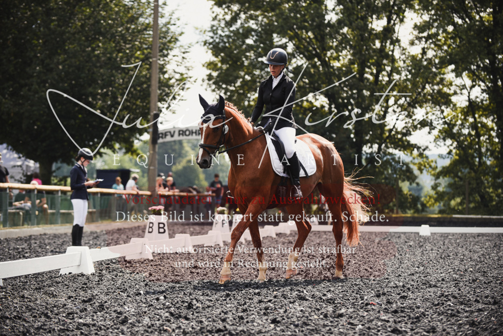 DSC_3892 | Pferde- und Turnierfotografie in Westsachsen. Pferdeportraits, Auftragszeichnungen und intuitive Kunst.