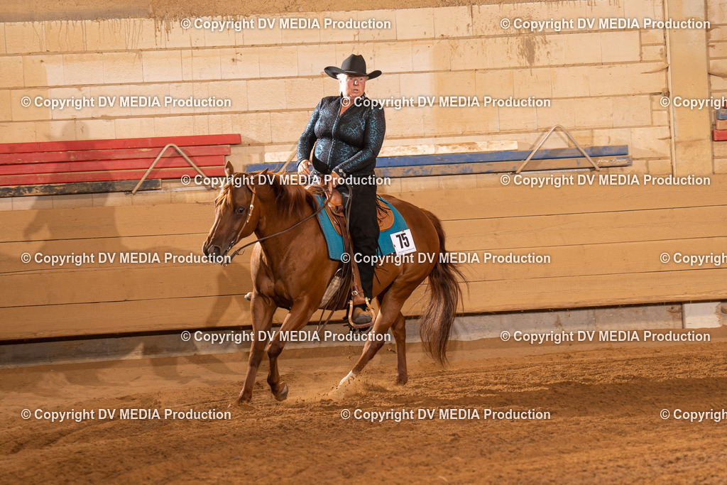 NID00909 | dv-media-shop - Realisiert mit Pictrs.com