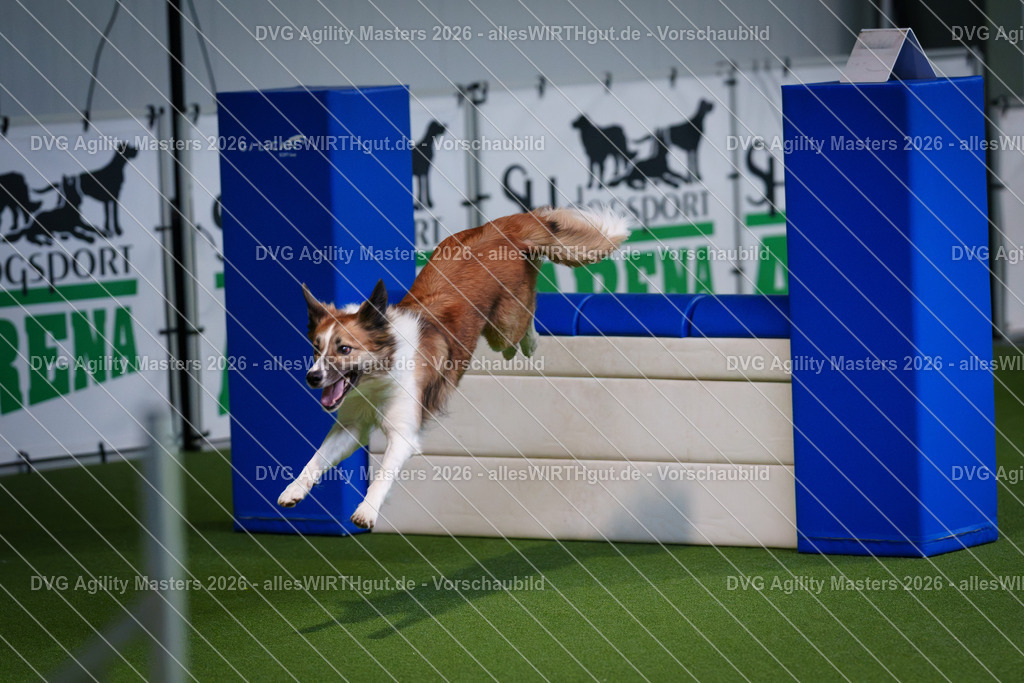 allesWIRTHgut_Tierfotografie-DVG_Agility_Masters_2026-09_23-7R501568 | Professionelle Tierfotografie in Mönchengladbach von Daniel Wirth (allesWIRTHgut). Liebevolle & natürliche Bilder von Hunden & Katzen für unvergessliche Erinnerungen.