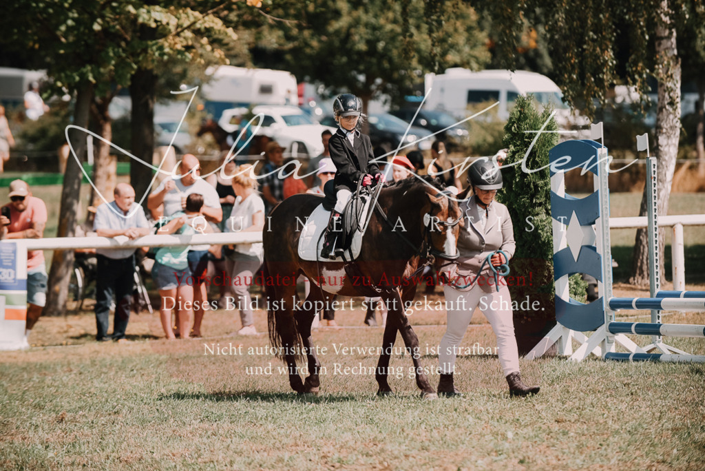 DSC_6045 | Pferde- und Turnierfotografie in Westsachsen. Pferdeportraits, Auftragszeichnungen und intuitive Kunst.