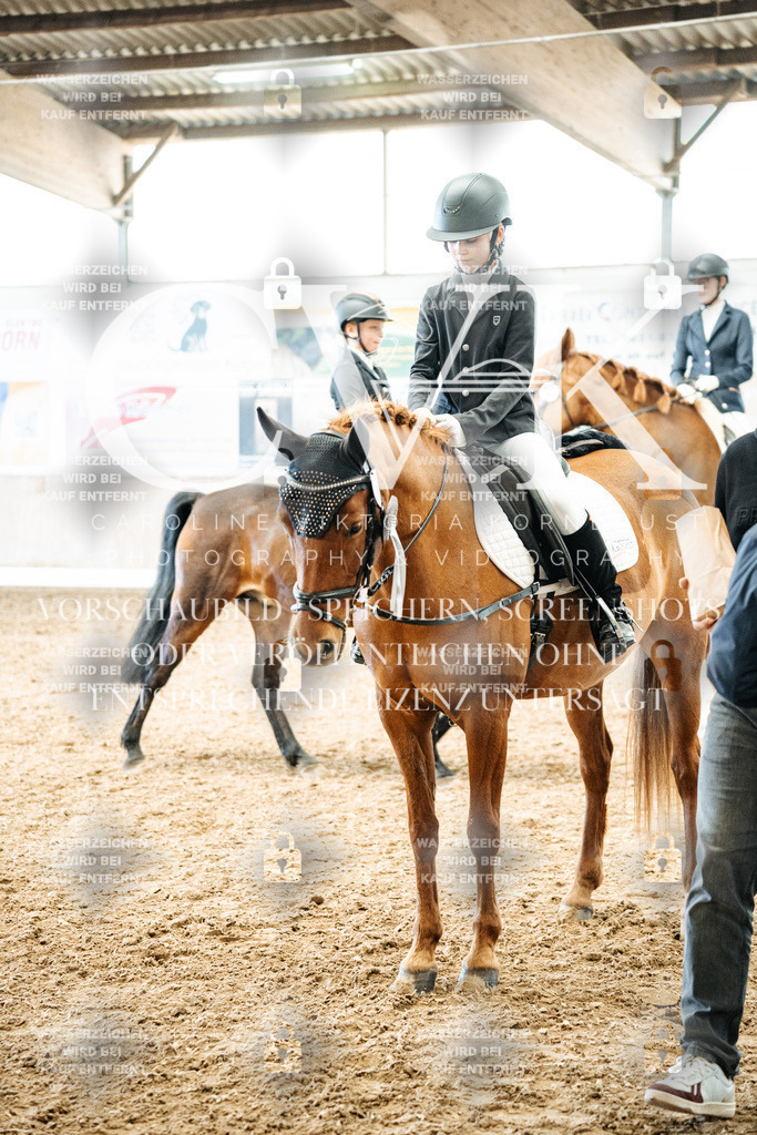 CK703074 | Turnierfotografie Pferdefotografie Trier Rheinland-Pfalz Pferdesport Reitsport Tierfotografie Sportfotografie Pferdevideo Pferdevideografie Equestrianvideography equestrianphotography  - Realized with Pictrs.com