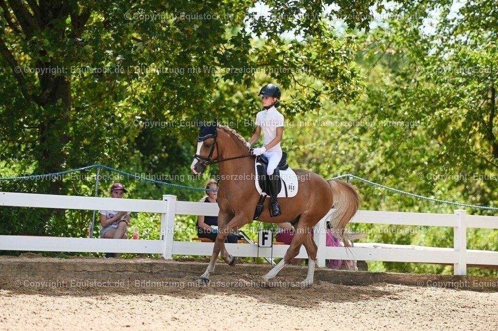 20230715_09_Dressur-WB_0278 | equistock