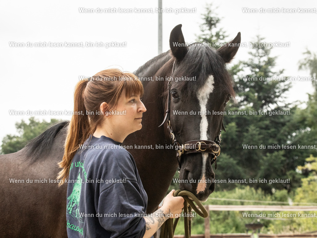 598A8251 | photographylinaismer - Realisiert mit Pictrs.com