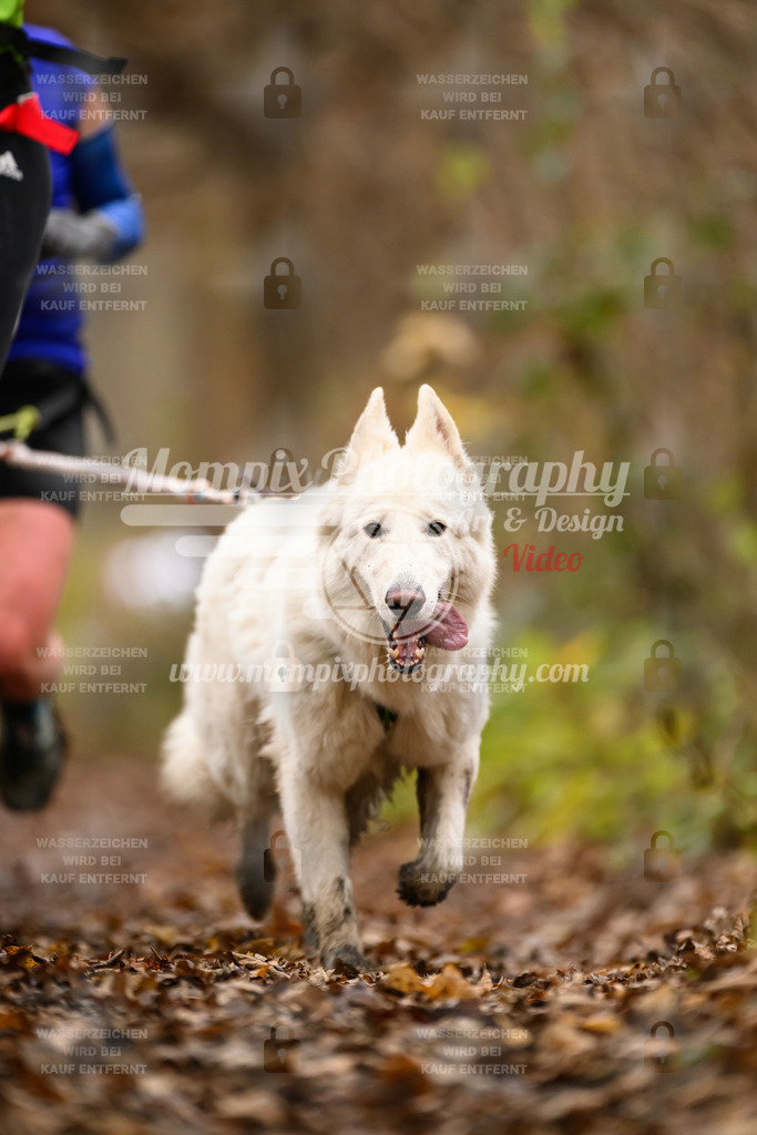 MompixPhotography_Eschau2024_CCC-102 | PayLife