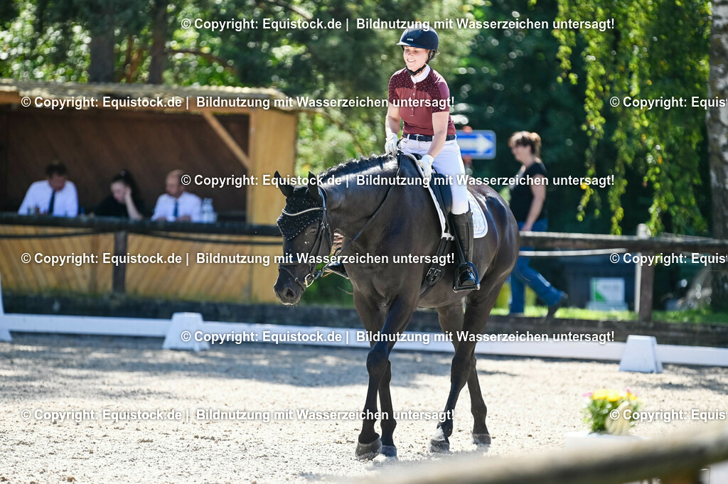 20230908_06_Dressur-L-Trense_0766 | equistock