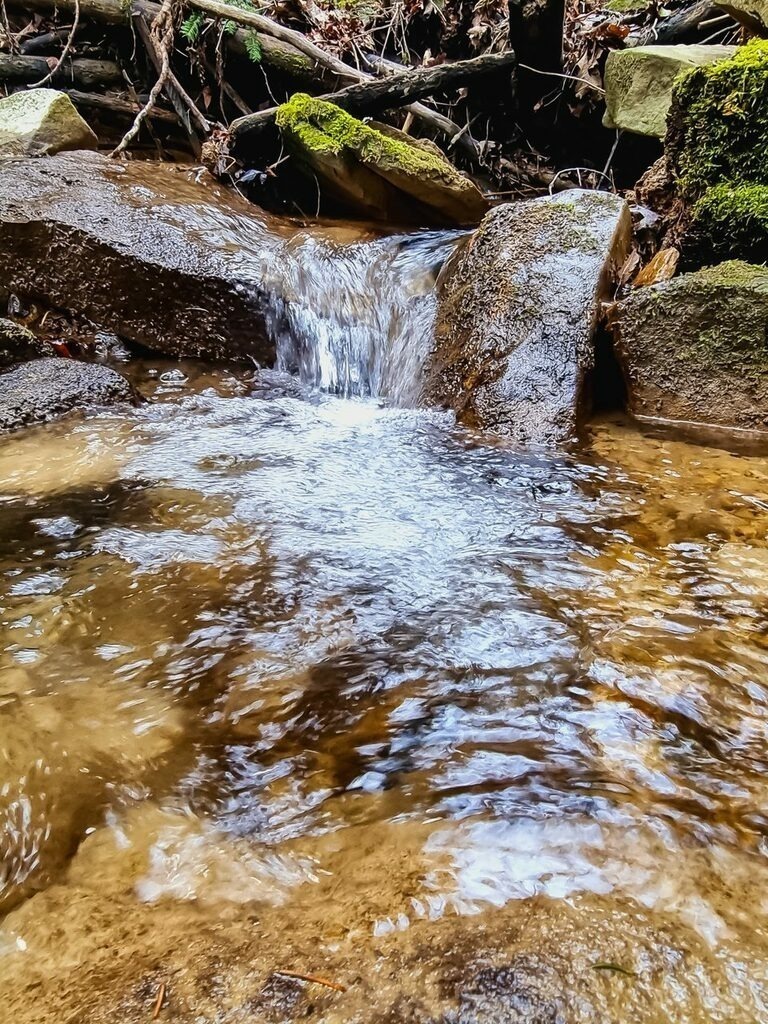 PSX_20220314_230139 | mtkfoto_ - Realisiert mit Pictrs.com