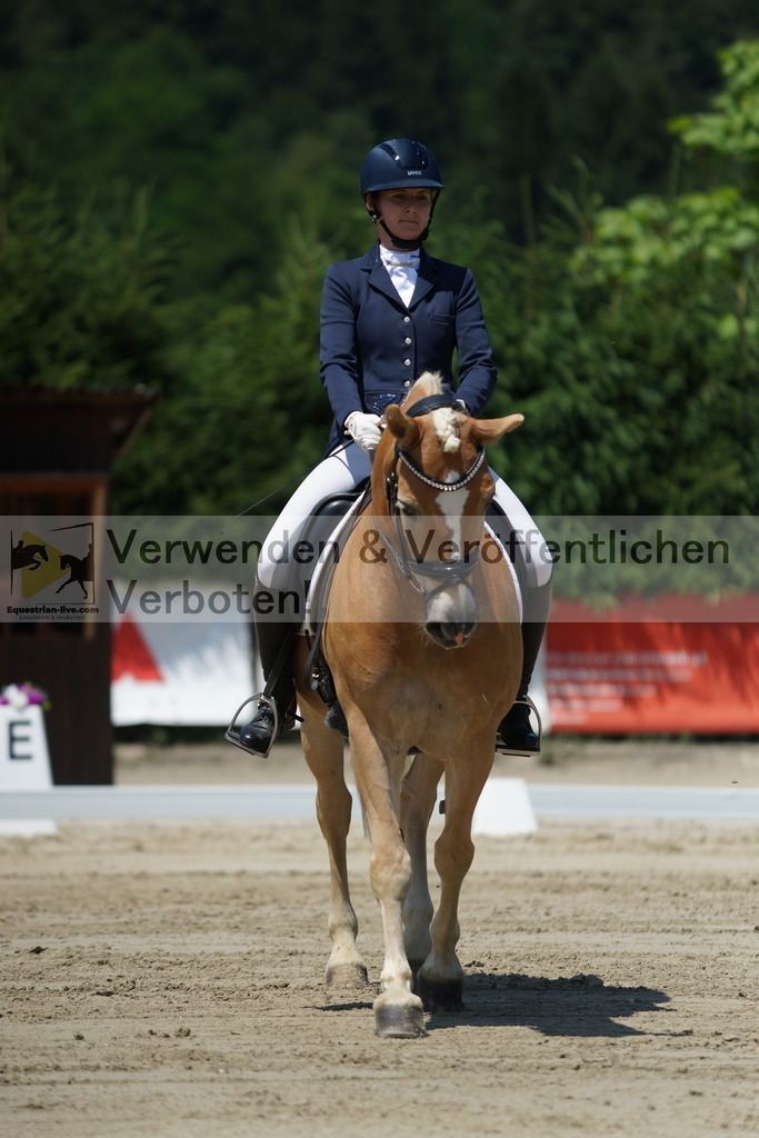 DSC03487 | equestrian-live-com