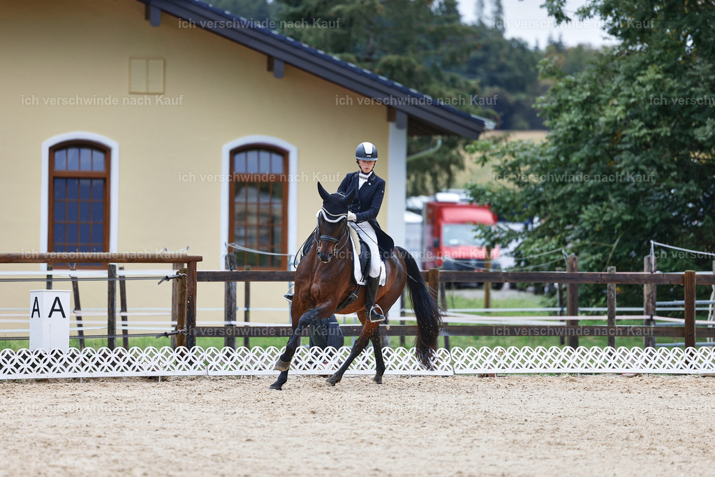 8_2-088-DRESSUR S_  -StoibPH-4441 | working equitationturnier fotograf videograf stoibphotography marixx film working equitation deutschland reitsport turnierfotografie eventfotografie equestrian events