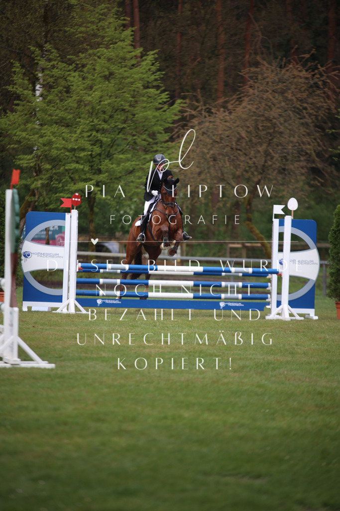 IMGT2464 | pl-fotografie