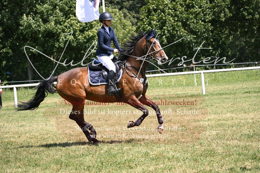 DSC_0104 | Pferde- und Turnierfotografie in Westsachsen. Pferdeportraits, Auftragszeichnungen und intuitive Kunst.