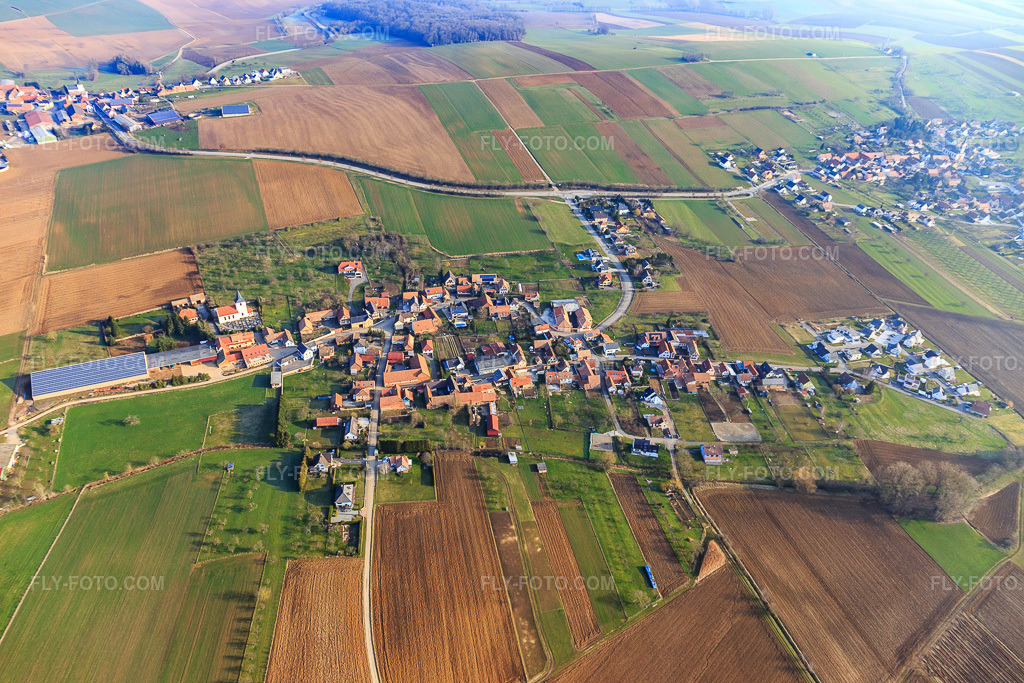 Aerial view: View of the town from the south in Grassendorf in the state Bas-Rhin, France. – Photo: IMG_105360.jpg taken on 03/25/2018 by Werner Riehm/FLY-FOTO.com – Resolution of the original: 5472 x 3648 px