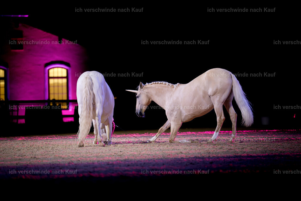 Gala-456 | working equitationturnier fotograf videograf stoibphotography marixx film working equitation deutschland reitsport turnierfotografie eventfotografie equestrian events