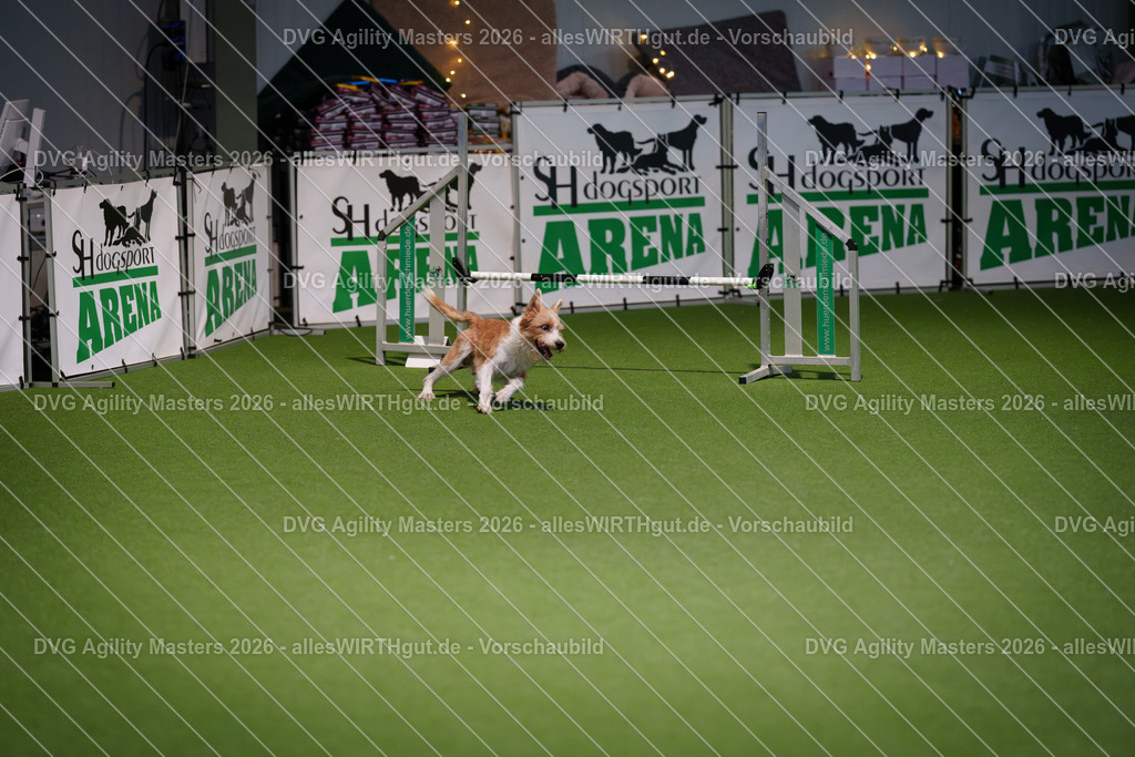 allesWIRTHgut_Tierfotografie-DVG_Agility_Masters_2026-16_45-7R504260 | Professionelle Tierfotografie in Mönchengladbach von Daniel Wirth (allesWIRTHgut). Liebevolle & natürliche Bilder von Hunden & Katzen für unvergessliche Erinnerungen.