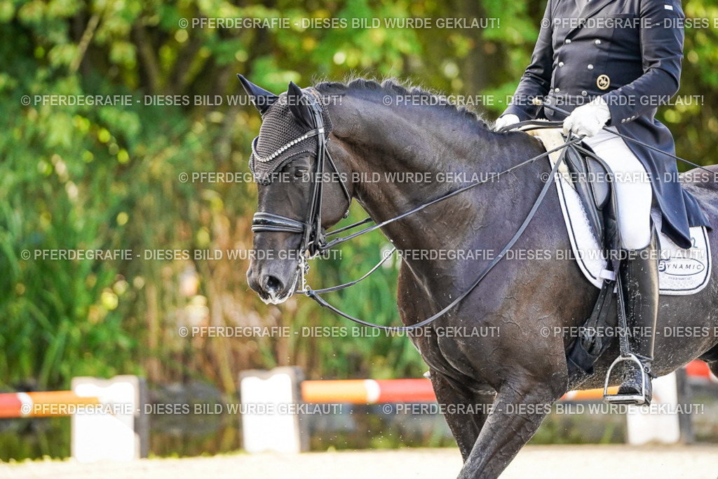 DSC00877 | Pferdegrafie