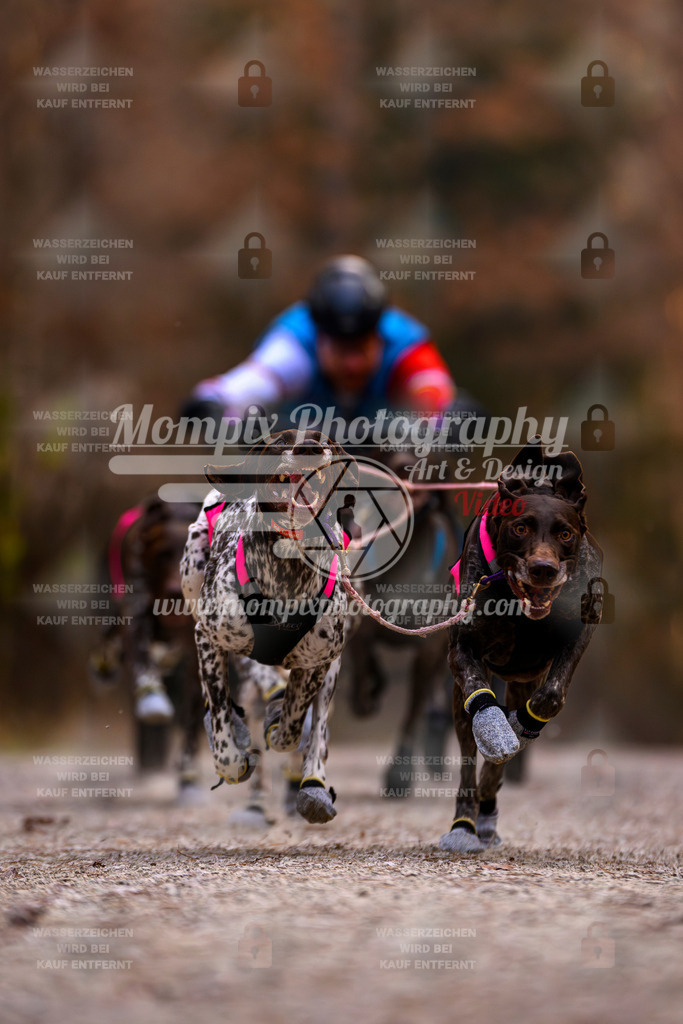 MompixPhotography_DM_AKDM_SO_2025_Wagen-13 | PayLife