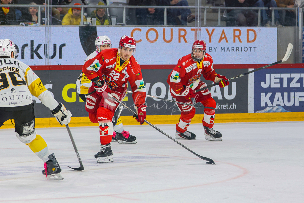 EHCB vs HCA 20260127_wb-9594 | Sportbilder, Sportfotograf, Hochzeits- und Eventfotografin, Flugshows, Portraits und Tiershooting, Aviation, Downhill, Nationalleague, Swissleague, International