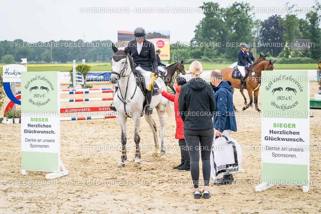 DSC00999 | Pferdegrafie