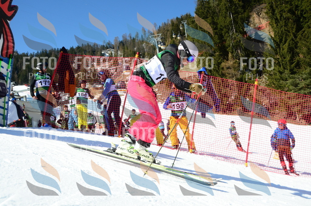 C6244 | holidayphoto