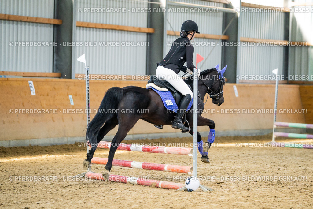 DSC01221 | Pferdegrafie