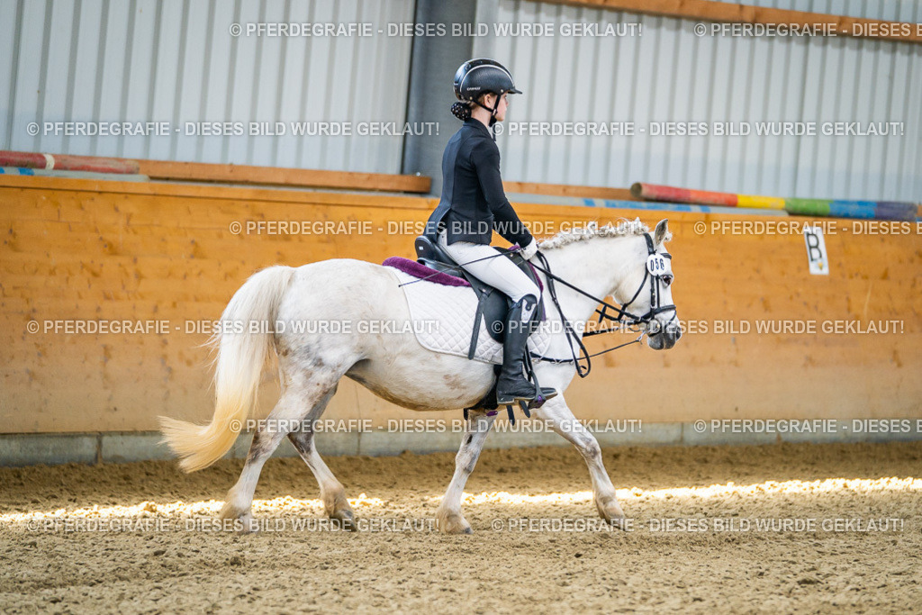 DSC02446 | Pferdegrafie