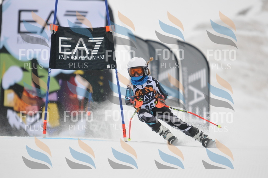 DSC_7589 | holidayphoto