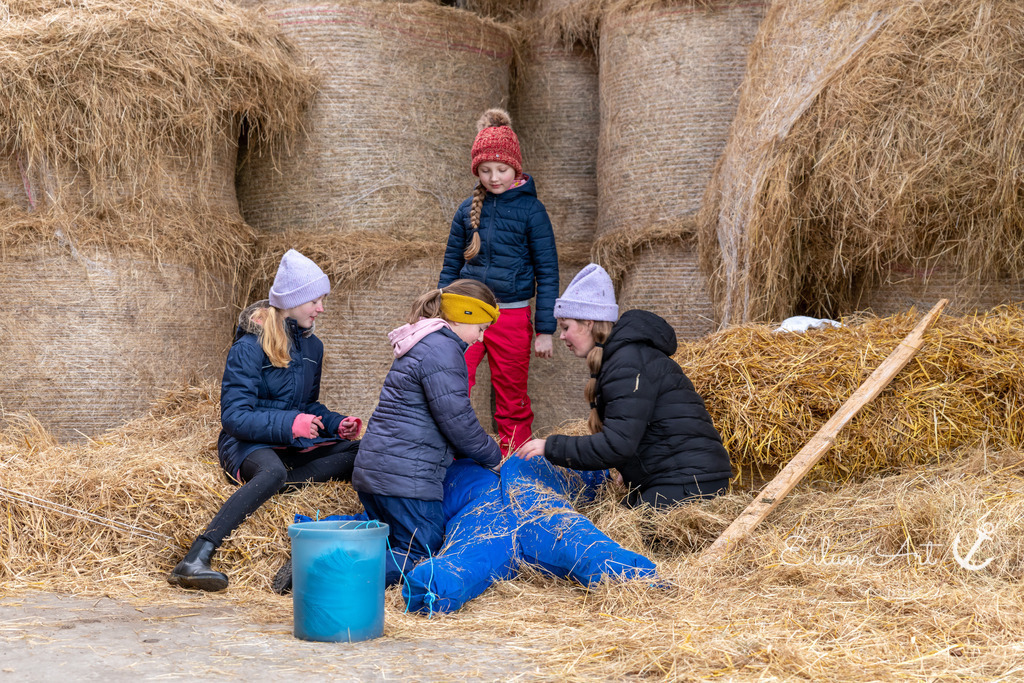 EAF_2208 | Eilun-Art-Fotografie Levke Martens, ihre Fotografin für Immobilien- und Landschaftsfotografie auf Föhr, Föhrer Motive als Poster, Leinwand, hinter Acrylglas oder stelle dir deinen eigenen Monatskalender zusammen, mit nur einem Klick