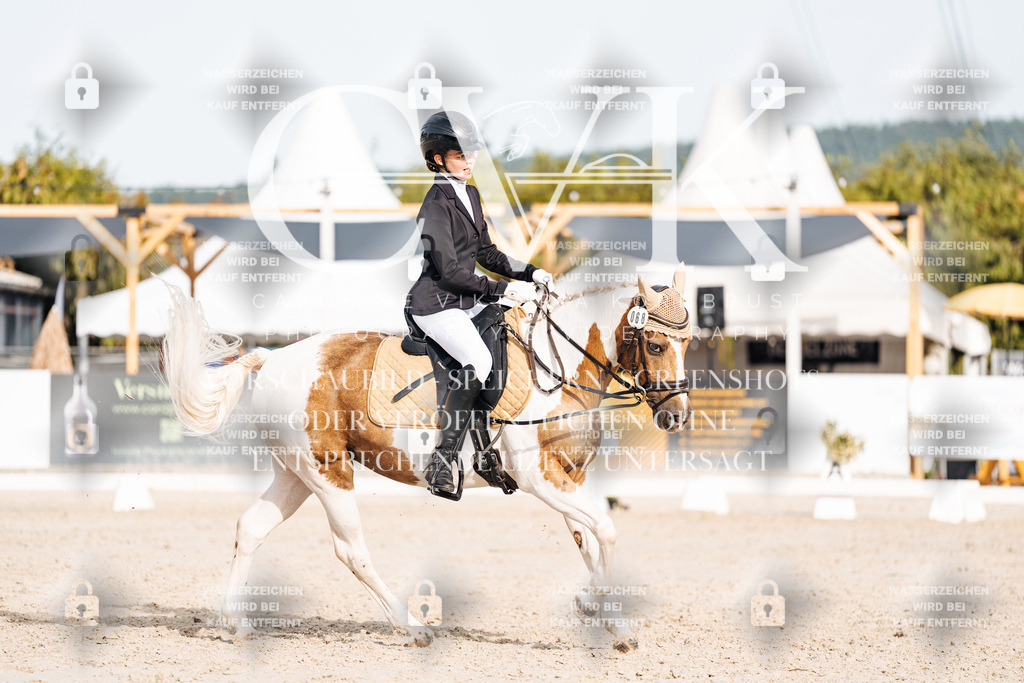 CK904816 | Turnierfotografie Pferdefotografie Trier Rheinland-Pfalz Pferdesport Reitsport Tierfotografie Sportfotografie Pferdevideo Pferdevideografie Equestrianvideography equestrianphotography  - Realisiert mit Pictrs.com