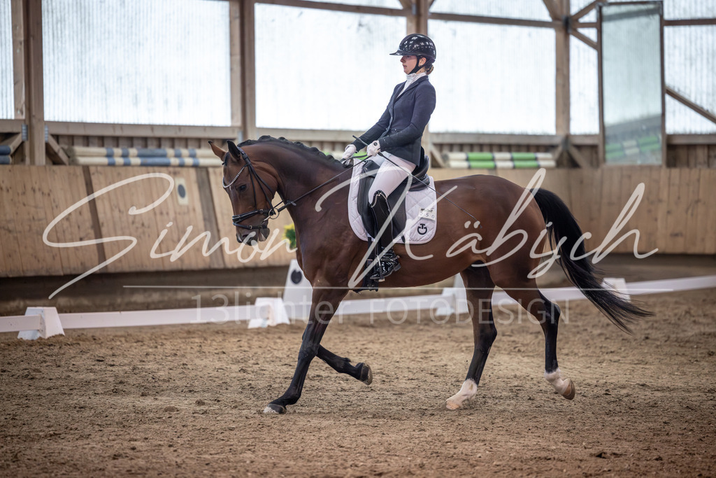 20251011-_3LI2151 | Tierfotografie Pferde, Hunde, Katzen, Haustiere.
Turnierfotografie Reitturniere, Reiten, Springreiten, Dressur in Hanau, dem Main-Kinzig-Kreis und dem Rhein-Main- Gebiet um Frankfurt