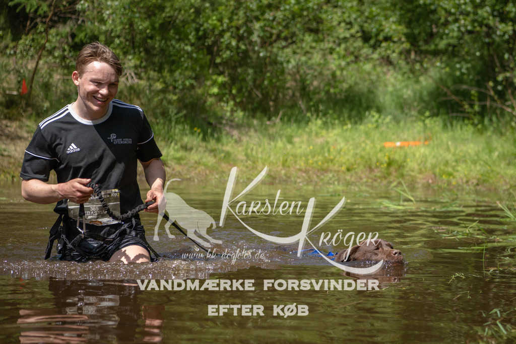 1330DKK994919 | kk-dogfotos