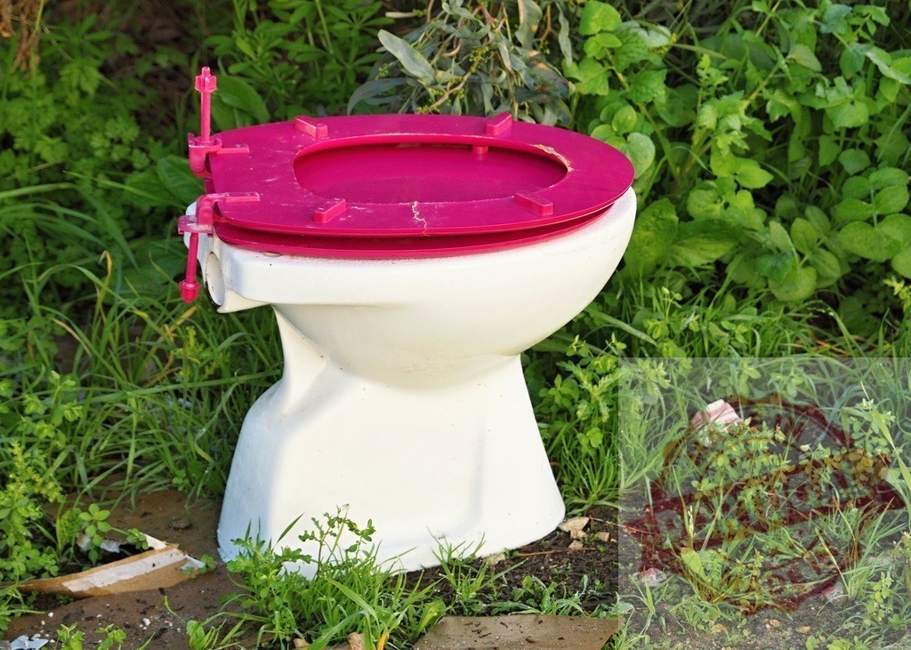 Discarded white toilet with pink seat in nature | White ceramic toilet with a pink seat discarded outdoors among green grass and weeds - Realisiert mit Pictrs.com