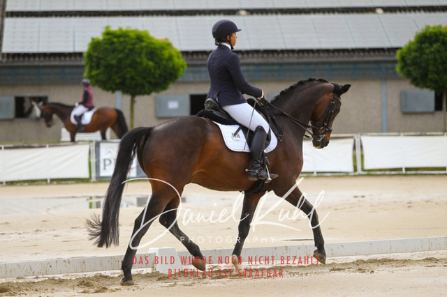 DKP40002 | Turniersportfotografie; Pferdefotografie; Dressurfotografie