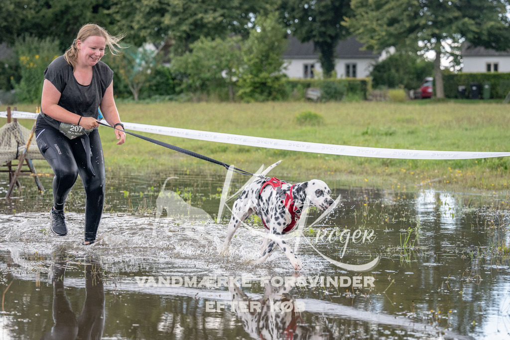 1501_ZZ90822 | kk-dogfotos