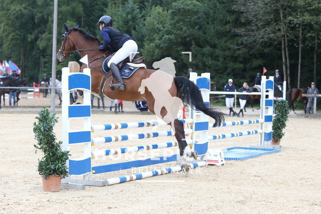 DL2Q0839 | Willkommen bei Brunnmayr - Design & Fotografie – Ihrem Spezialisten für Reitturniere und Pferdeveranstaltungen in Oberösterreich, Salzburg und Bayern! Seit über 17 Jahren sind wir leidenschaftlich dabei.