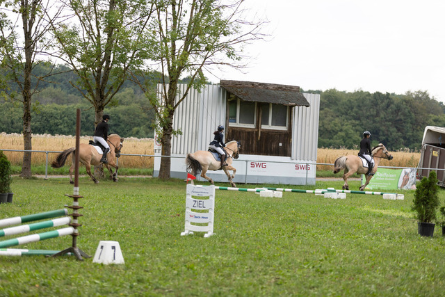 IMG_8877 | normansfotografie - Realisiert mit Pictrs.com