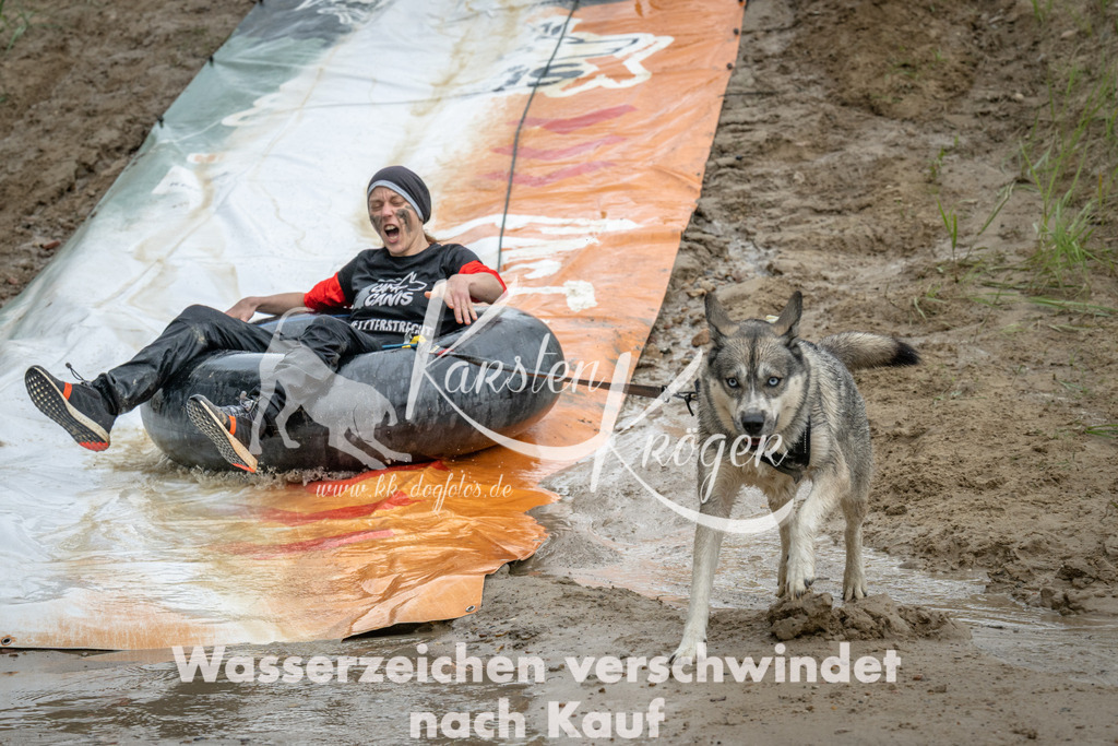 1529_ZZ97439 | kk-dogfotos