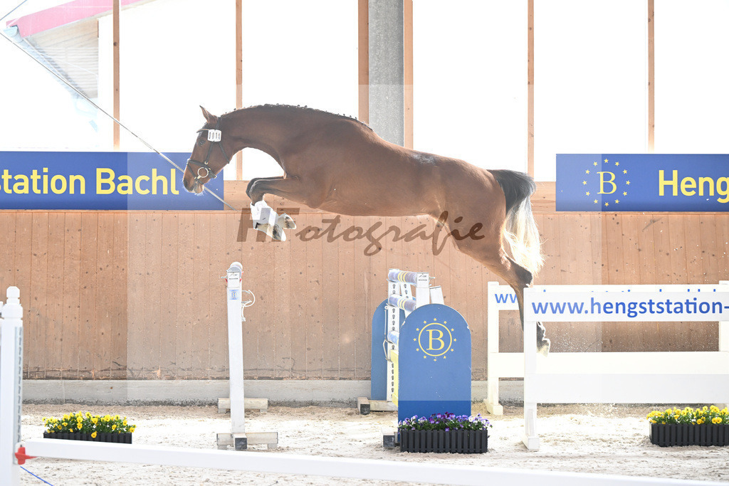 Kat-Nr. 14 Ehawee v. Colestus_Fischer_5250138 | hf-fotografie - Realisiert mit Pictrs.com