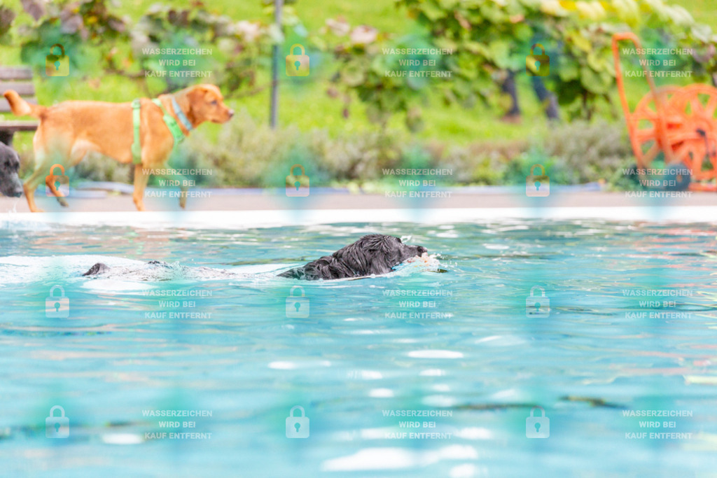 _HP_7287_1000o | HetPix, HetPix Fotodesign, Fotografie, Fotodesign, Webshop, Sportfotografie, Portraitfotografie, Onlineshop, Sportfotografie, Polch, Motorsportfotografie, Eventfotografie