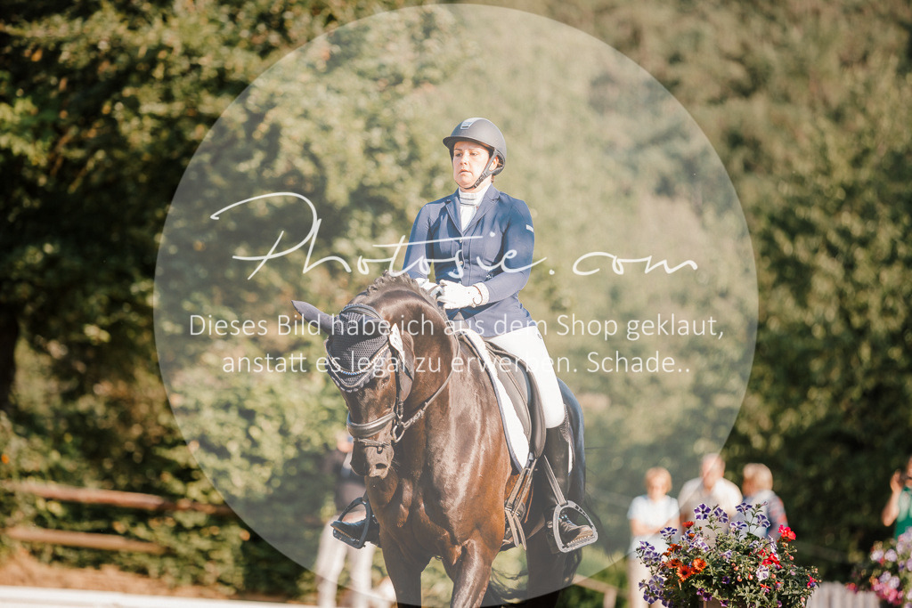 3I6A8536 | Stimmungsvolle Portraits und Reitsportfotografie im Ruhrgebiet und im Münsterland.

Pferdefotografie, Hundefotografie, Tierfotografie, Reportagen, Portraits von Tier und Mensch, Turnierfotografie in Bochum, Recklinghausen, Marl, Haltern am See, Dülmen.. - Realisiert mit Pictrs.com