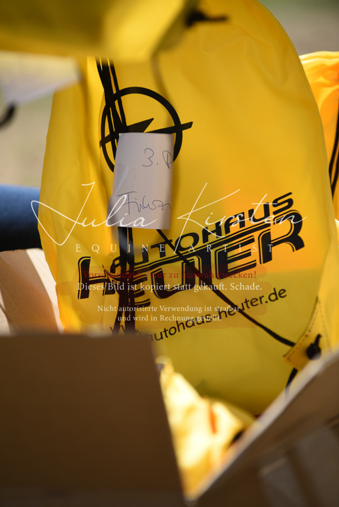 DSC_9878 | Pferde- und Turnierfotografie in Westsachsen. Pferdeportraits, Auftragszeichnungen und intuitive Kunst.