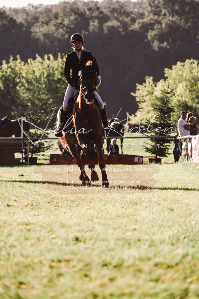 DSC_4574 | Pferde- und Turnierfotografie in Westsachsen. Pferdeportraits, Auftragszeichnungen und intuitive Kunst.