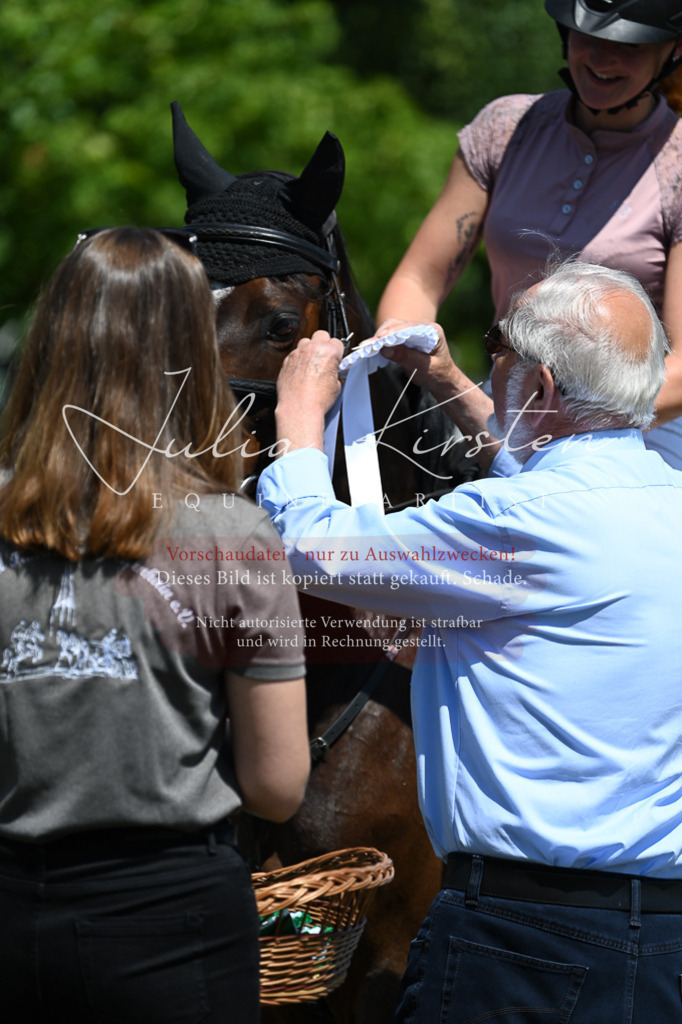 DSC_0880 | Pferde- und Turnierfotografie in Westsachsen. Pferdeportraits, Auftragszeichnungen und intuitive Kunst.
