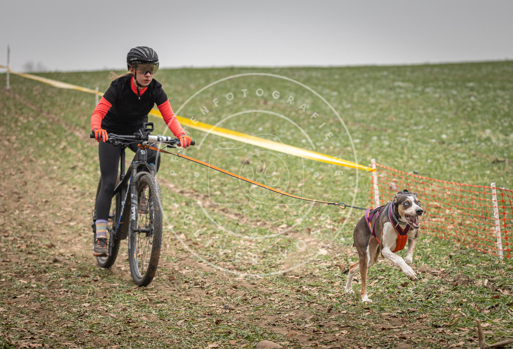Pfotenfotografie_DV3A2657 | Hundefotografie, Tierfotograf, Pfotenfotografie, Fotoshooting Hund, Hunde Portrait, Hundesport, Hundeportraits, Heideshooting, Hunde, Sportfotograf, Hundefotograf, Turnierhundsport, THS,  - Realisiert mit Pictrs.com